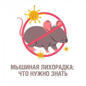 Оренбуржцев предупреждают об опасности геморрагической лихорадки в осенний период.